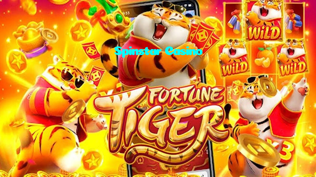 available types of Spinstar Casino bet including pre-match live express and system bets